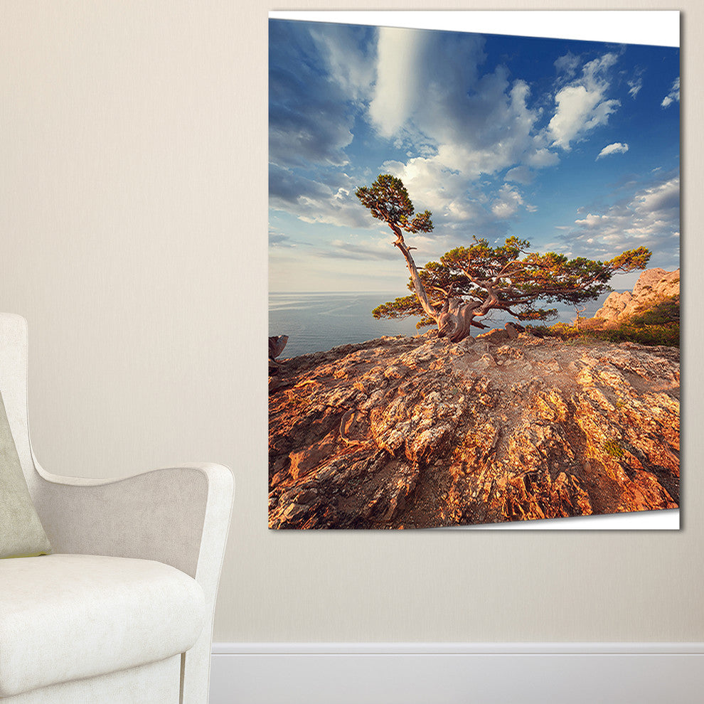 "Sunrise With Old Tree at Peak" Landscape Photo Wall Art, 16"x32"