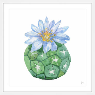 "Cactus Bleu" Framed Painting Print, 18"x18"