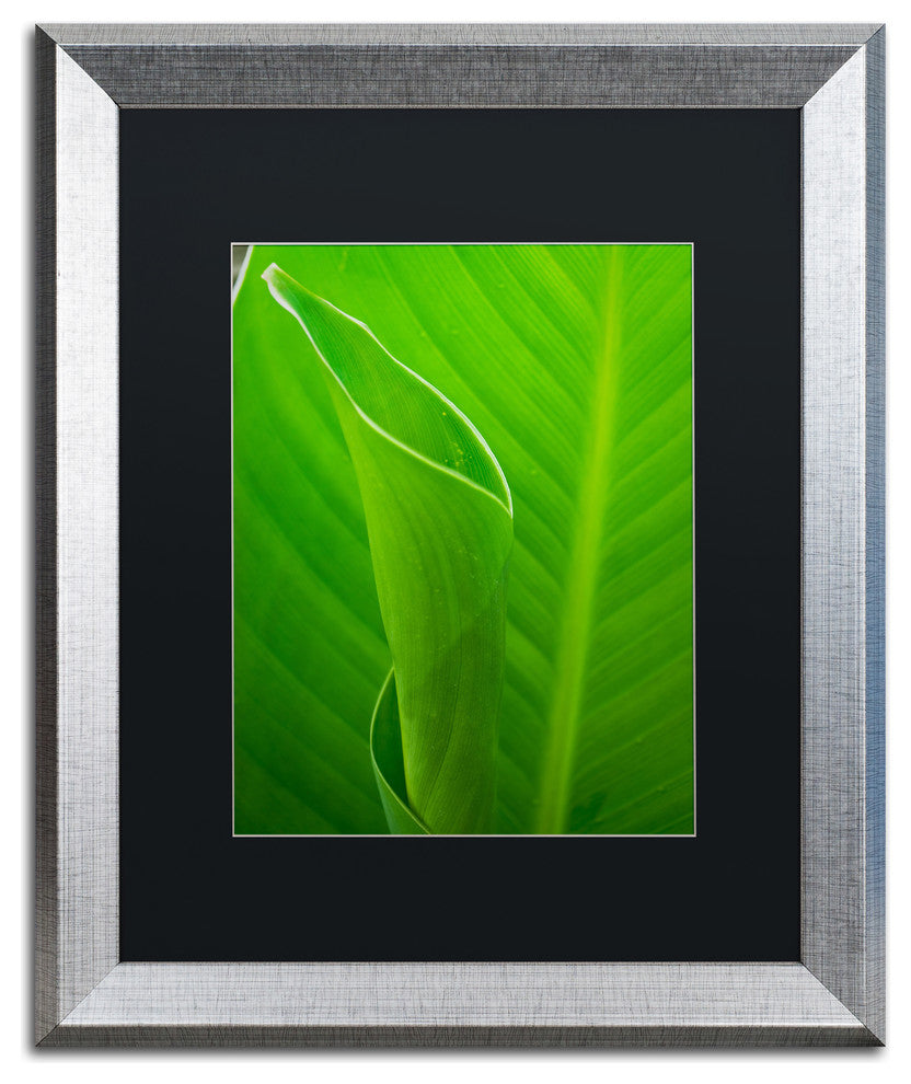 PIPA Fine Art 'Leaves Canna Lily' Matted Framed Art, 20x16