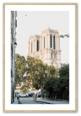 Raw Maple 16" x 20" French History Framed Print