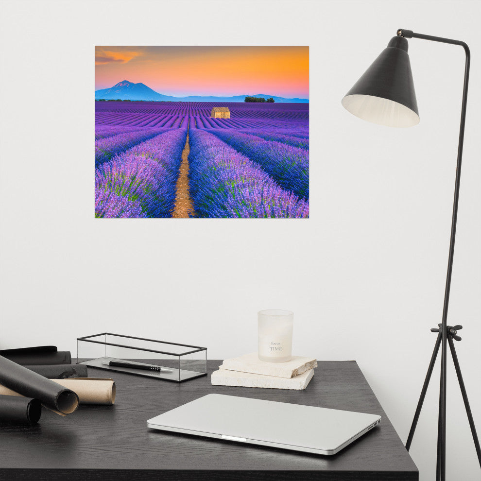 Blooming Lavender Field and Sunset Landscape Photo Unframed Wall Art Prints, 16" X 20"