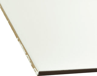 Jaen Porcelain Floor and Wall Tile, Basic White, Case of 16