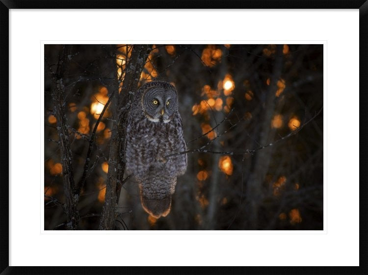 "As The Sun Goes Down" Framed Digital Print by Nick Kalathas, 32x24"