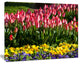 Red Tulips with Yellow Purple Flowers, Large Flower Canvas Art Print, 60"x28"