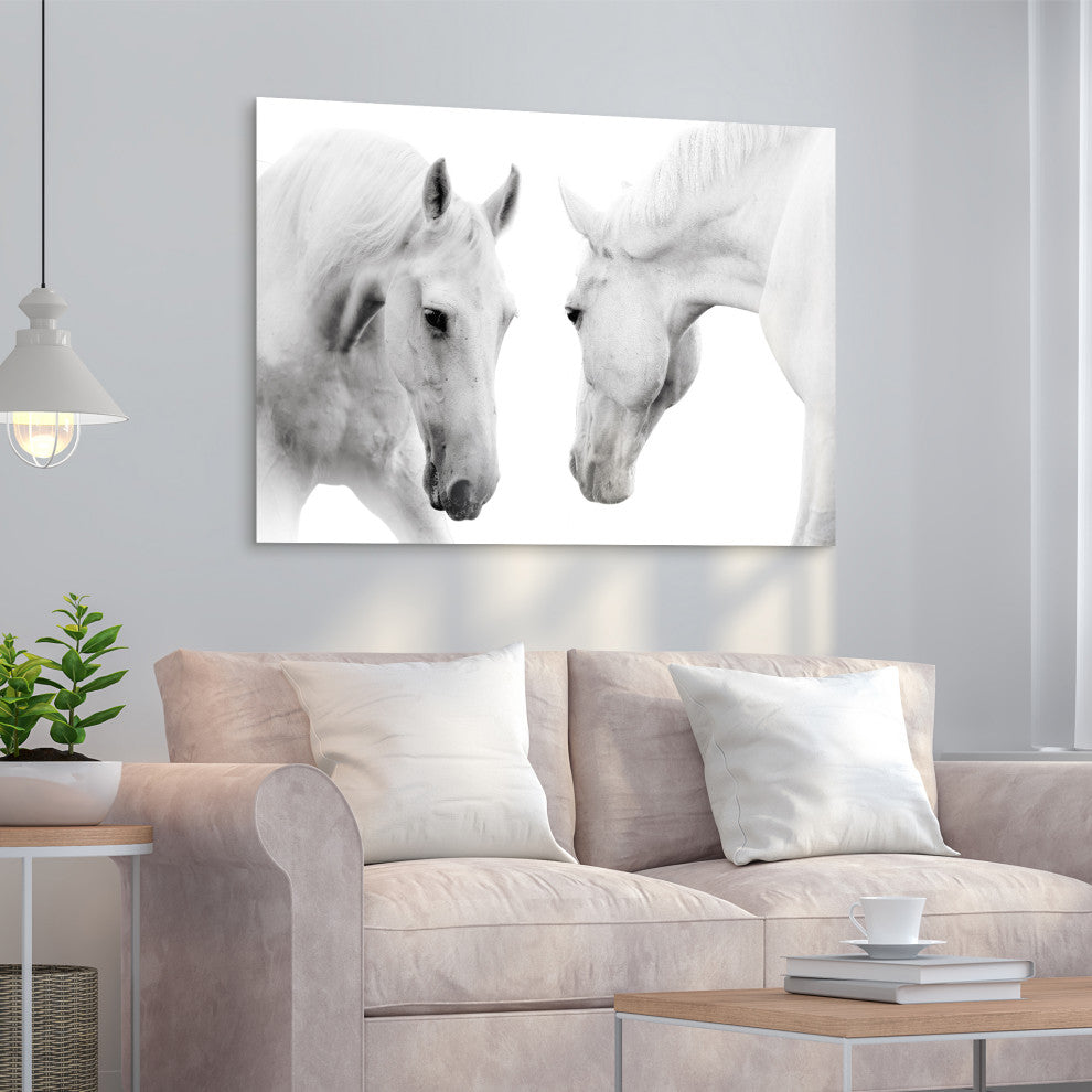 White Horse Wall Art Graphic Print Frameless Free Floating Tempered Glass Panel