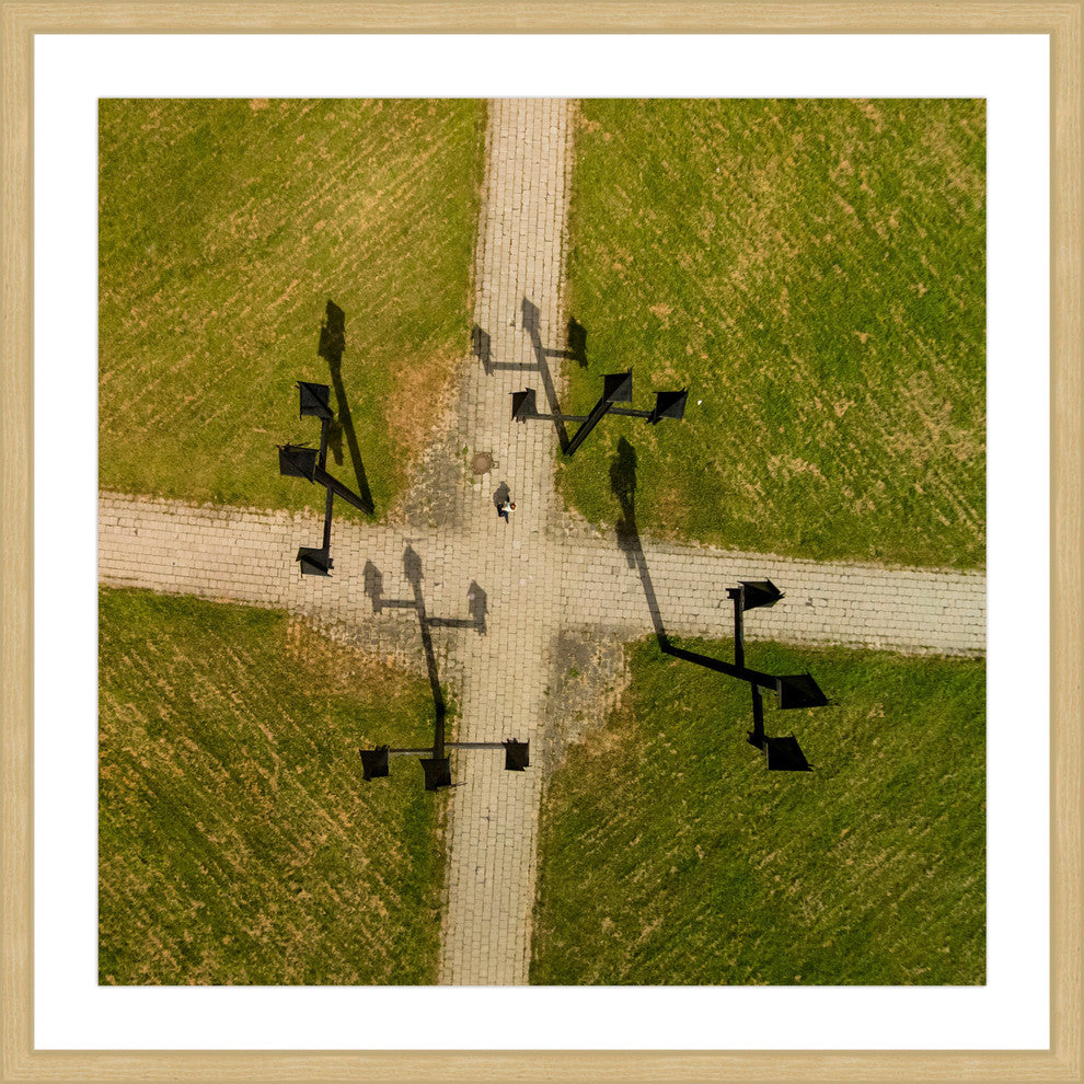 "Weather Vanes" Framed Print by Karolis Janulis