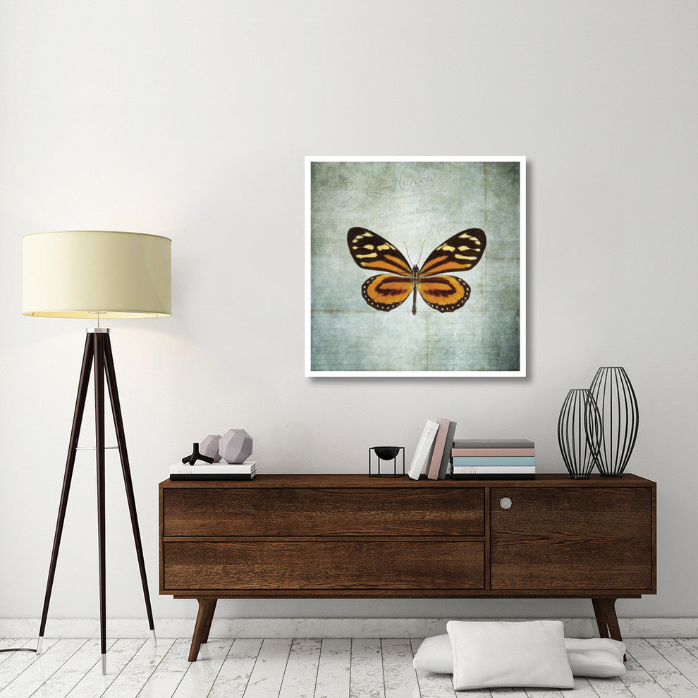 "French Butterfly VIII" Digital Paper Print by Debra Van Swearingen, 38"x38"