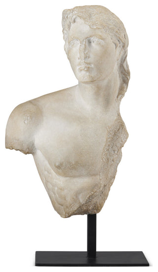 Young Royal Greek Torso