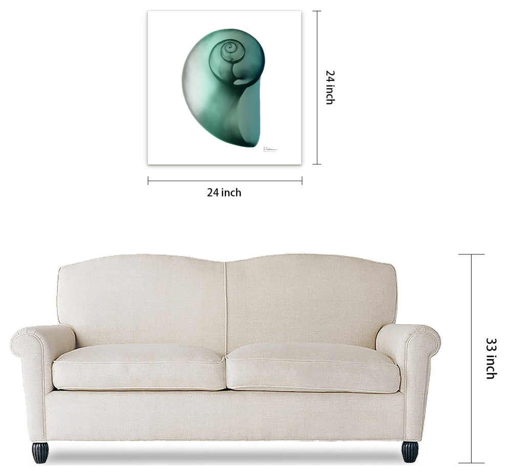 "Shimmering Snail Ii" Wall Art on Frameless Free Floating Tempered Glass Panel
