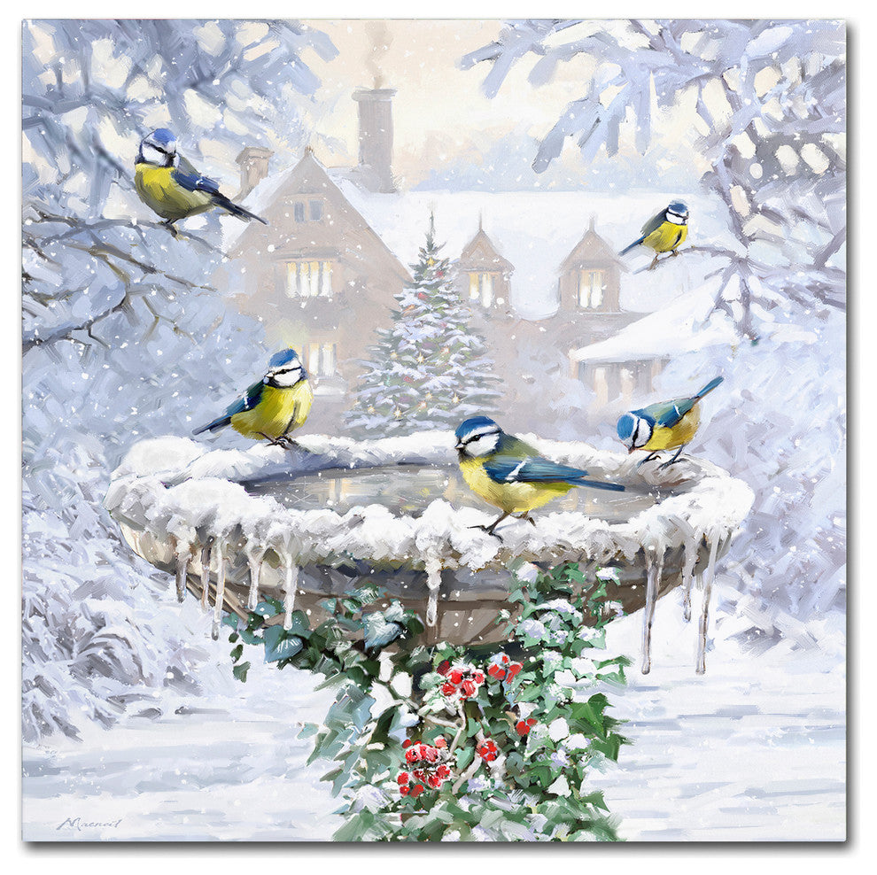 The Macneil Studio 'Birdbath Flat' Canvas Art, 35"x35"
