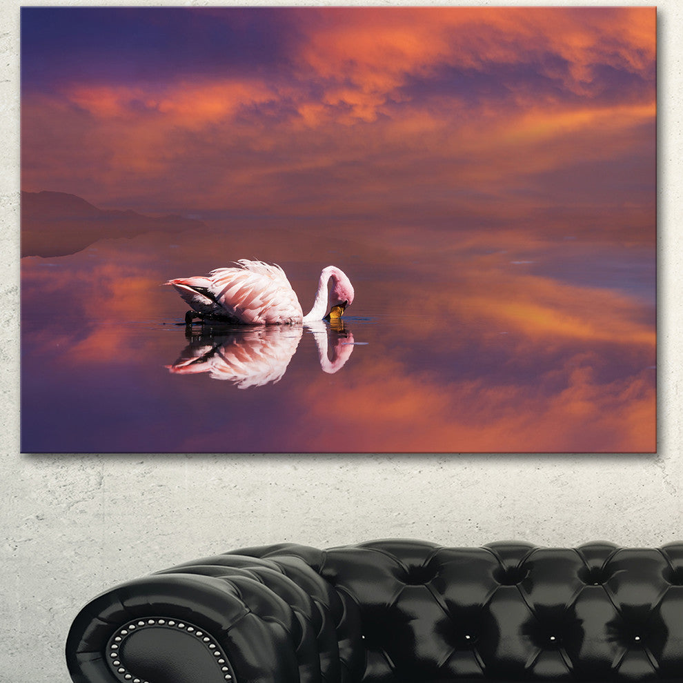 Huge White Flamingo in Lake, Animal Canvas Art Print, 40"x30"