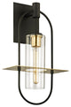 Troy Smyth 22" Outdoor Wall Light, Dark Bronze and Brushed Brass
