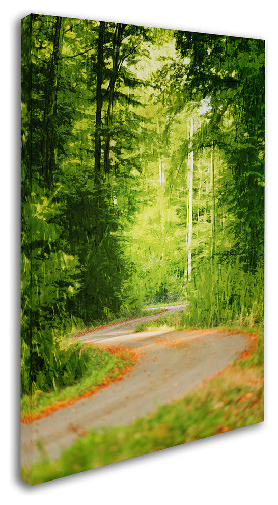 'S Road' Canvas Art by Philippe Sainte-Laudy