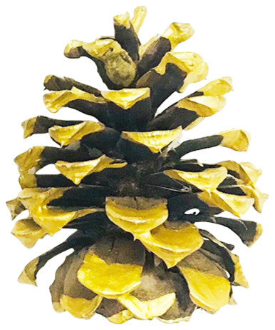 Gold Tipped Ponderosa Pine Cones, 50-Piece Set