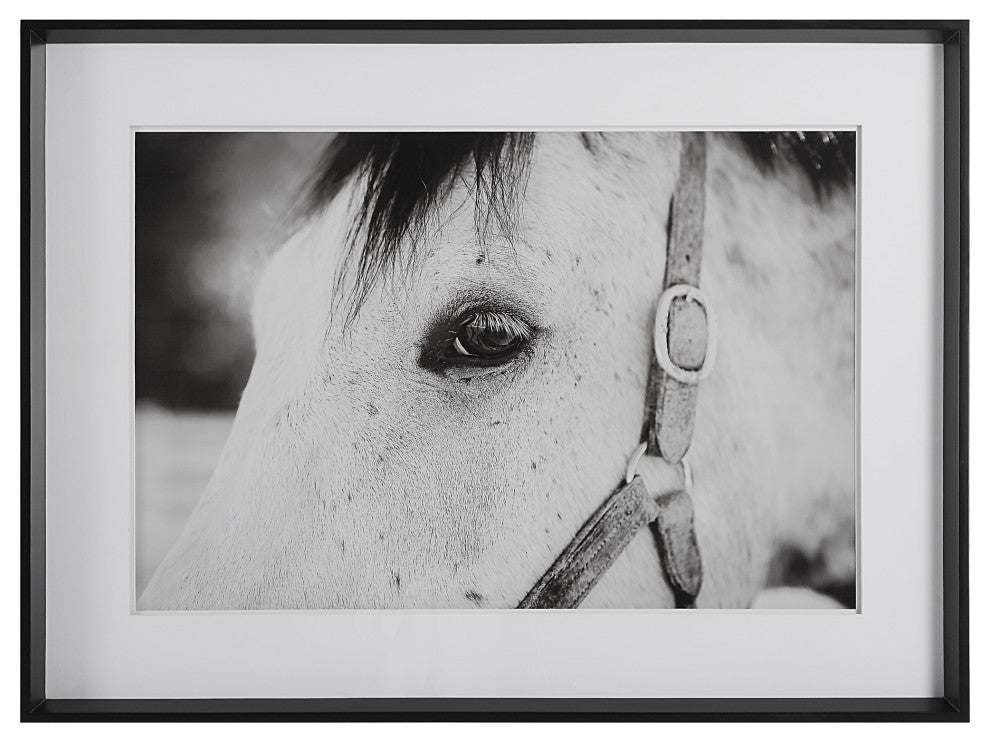 Uttermost 41463 Eye Of The Beholder Framed Print