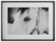 Uttermost 41463 Eye Of The Beholder Framed Print