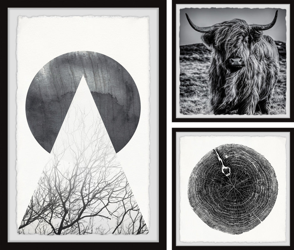 Hairy Cow Triptych, 3-Piece Set