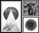 Hairy Cow Triptych, 3-Piece Set