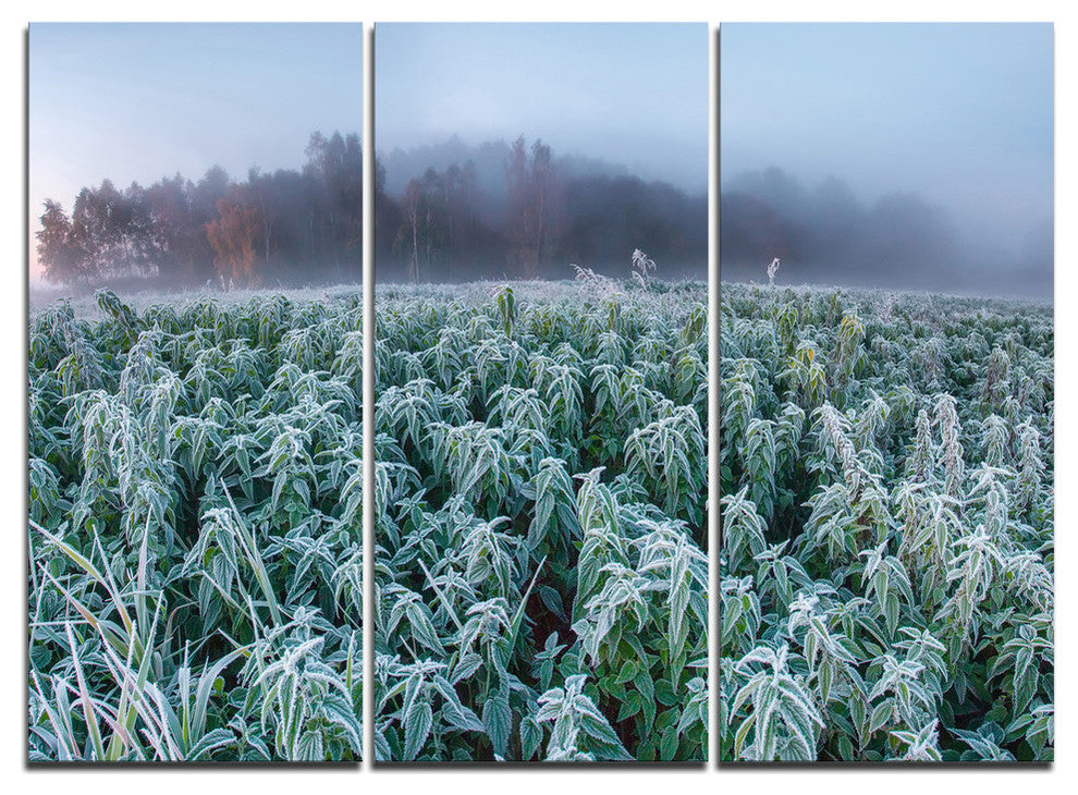 "Frozen Hemp Field in Autumn Morning" Metal Wall Art, 3 Panels, 36"x28"