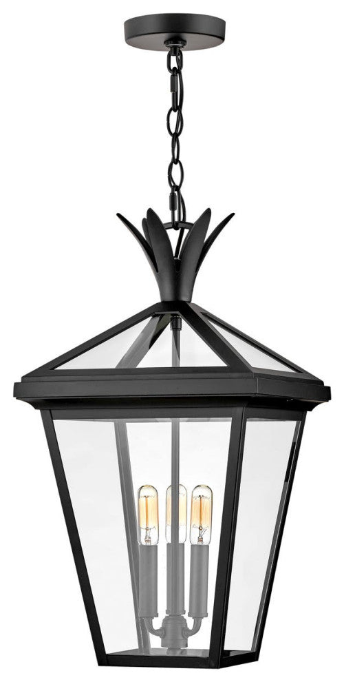 Hinkley Palma Large Hanging Lantern, Black