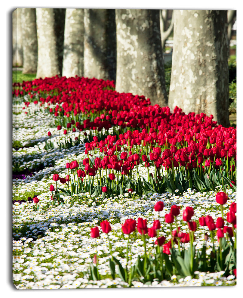 Wild Tulip Flowers in Forest Pasture, Floral Canvas Art Print, 12"x20"