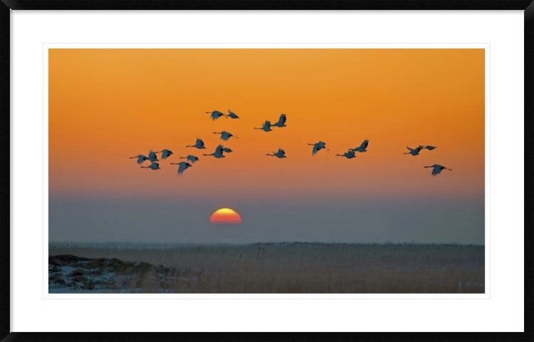 "Red-Crowned Crane" Framed Digital Print by Hua Zhu, 44x28"