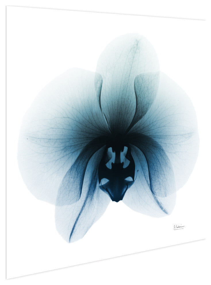 "Glacial Orchid" Frameless Free Floating Panel Graphic Wall Art, 38"x38"
