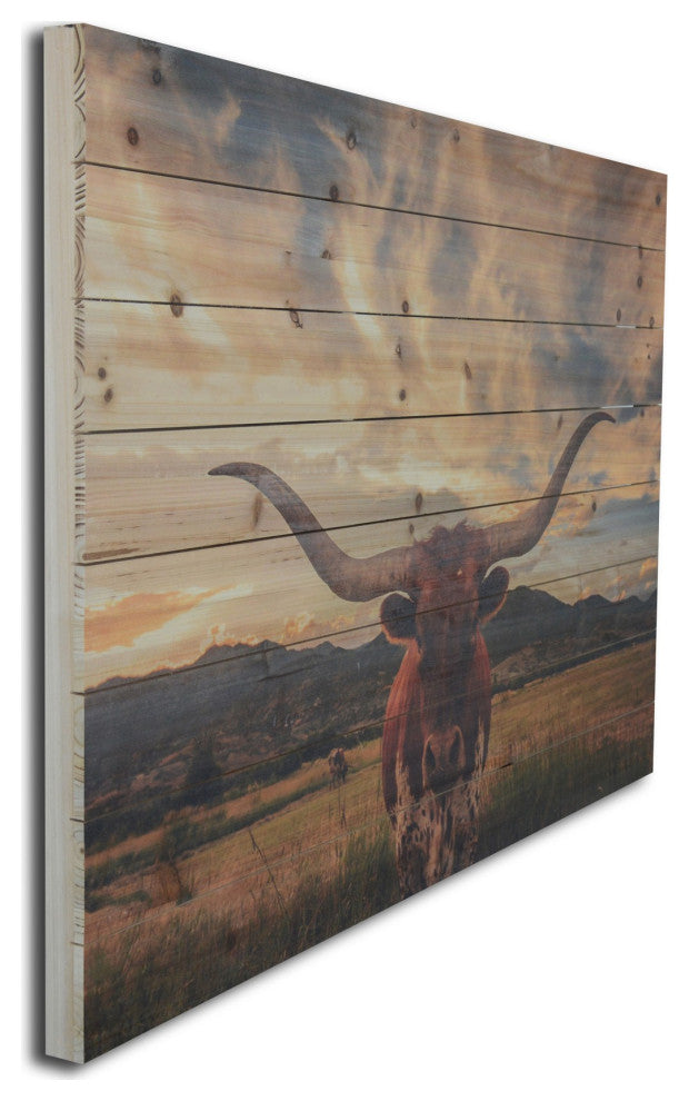 Longhorn Cow, Field Wood Plank Wall Art