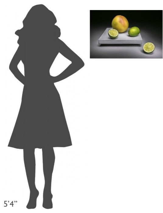 "Citrus Family" Stretched Canvas Giclee by Christophe Verot, 24"x16"
