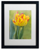 Cora Niele 'Rembrandt Tulip' Matted Framed Art