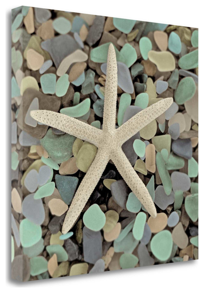 10" Starfish and Colorful Seaglass 3 Giclee Wrap Canvas Wall Art