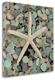10" Starfish and Colorful Seaglass 3 Giclee Wrap Canvas Wall Art