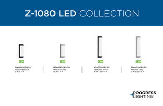 Z-1080 LED Collection Black 2-Light Large LED Outdoor Sconce