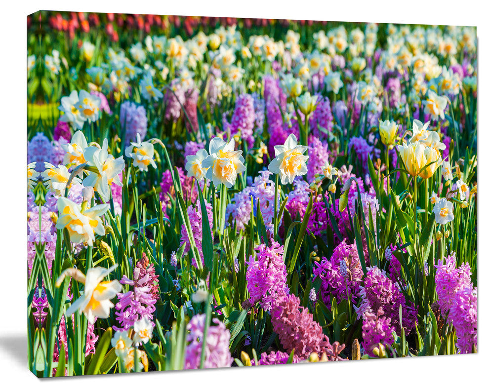 Spring Flowers in Keukenhof Park, Floral Canvas Art Print, 60"x28"