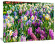 Spring Flowers in Keukenhof Park, Floral Canvas Art Print, 60"x28"