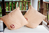 20" x 20" Modern Monogram Indoor/Outdoor Polyester Throw Pillow, Cranberry