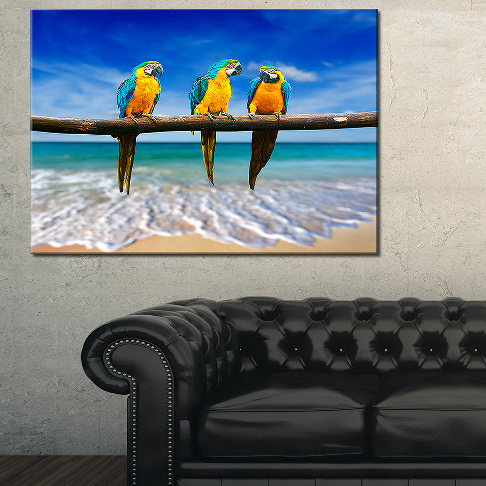 "Blue and Gold Macaws at Beach" Seashore Canvas Photo Print, 32"x16"