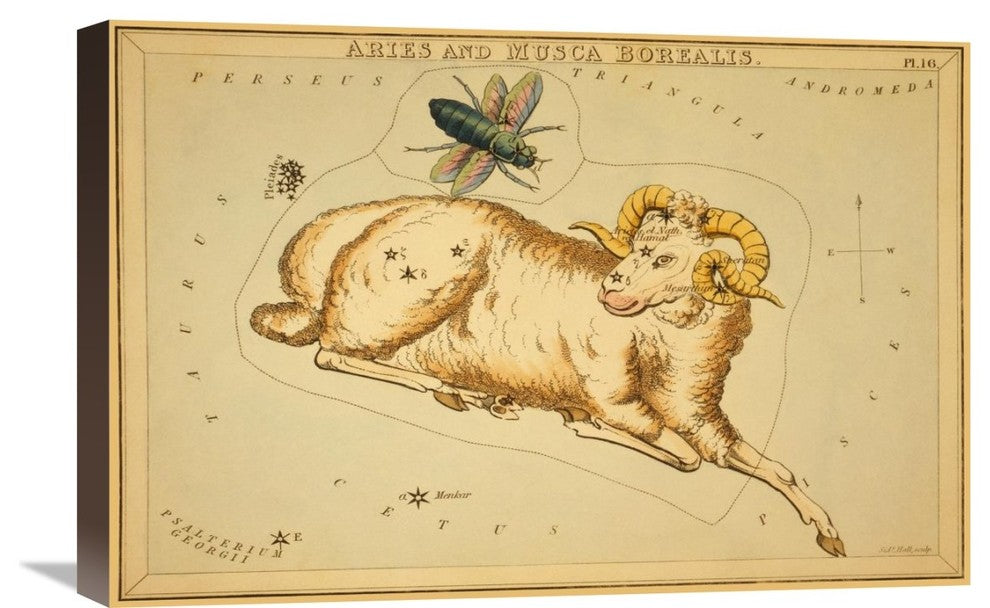 "Aries and Musca Borealis, 1825" Canvas Giclee by Jehoshaphat Aspin, 24"x16"