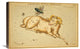 "Aries and Musca Borealis, 1825" Canvas Giclee by Jehoshaphat Aspin, 24"x16"