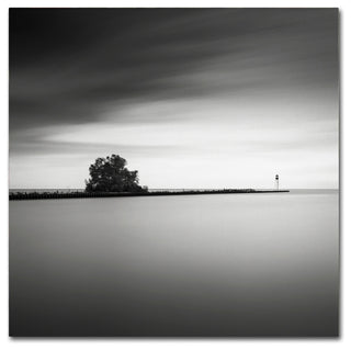 'Erieau 2' Canvas Art by Dave MacVicar