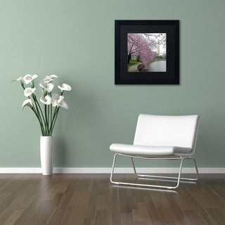 CATeyes 'Washington Blossoms' Matted Framed Art, 11x11
