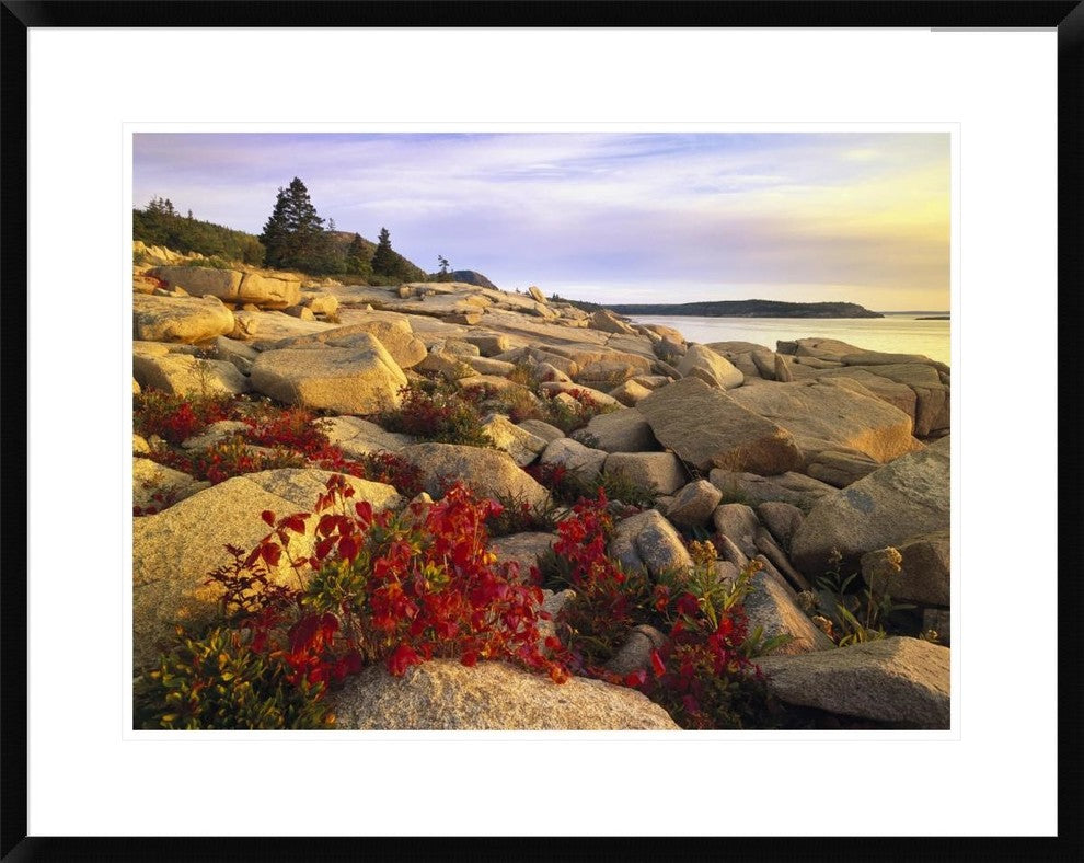 Atlantic Coast Near Thunder Hole, Acadia National Park, Maine, 30"x24"
