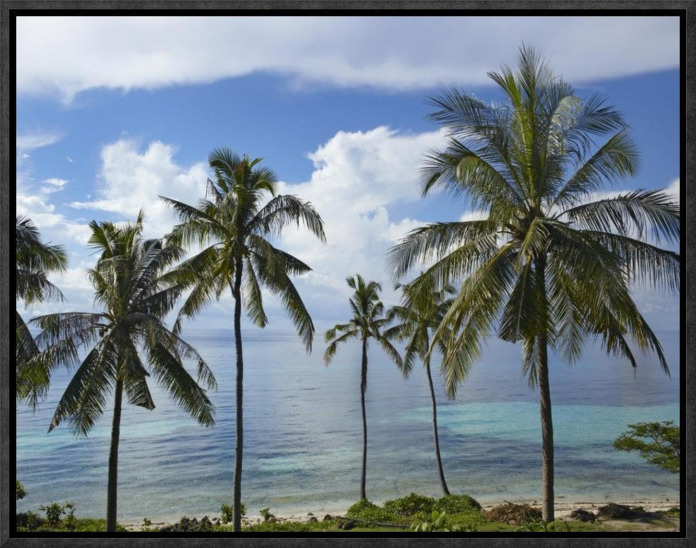 Coconut Palm Trees, Bikini Beach, Panglao Island, Philippines, 16"x12"
