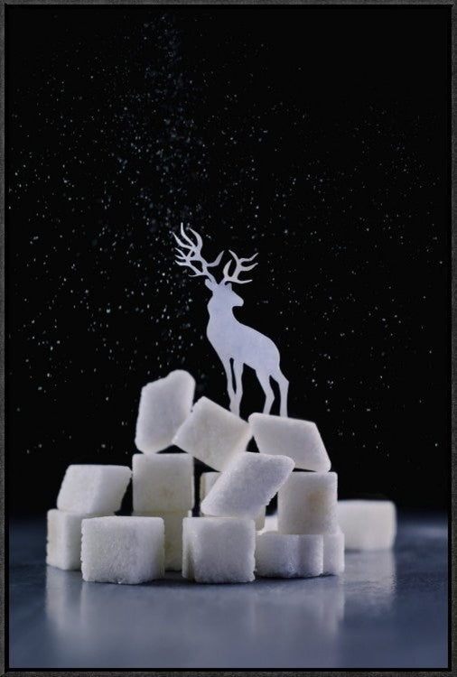 "Reindeer (Powdered Sugar)" Framed Canvas Giclee by Dina Belenko, 21x31"