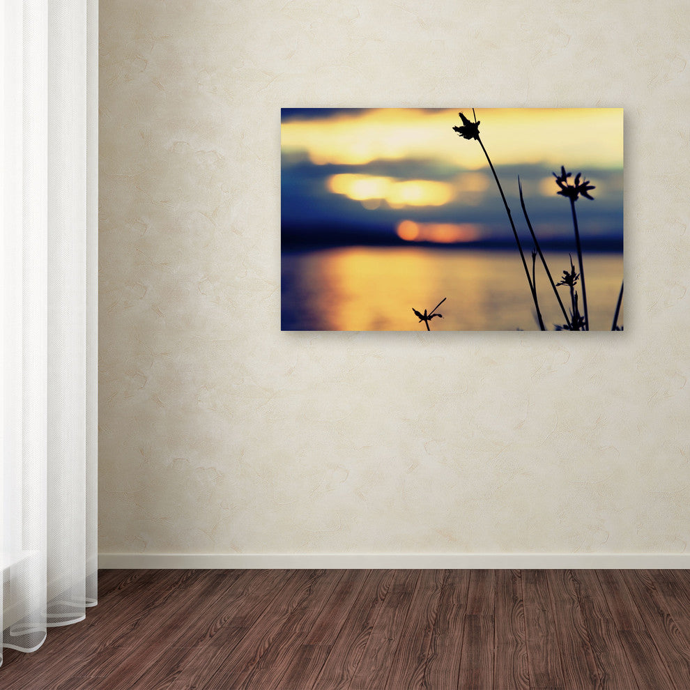'Sunset Thoughts' Canvas Art by Beata Czyzowska Young