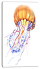 Orange Ocean Water Jellyfish, Animal Canvas Art Print, 16"x32"