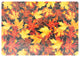 Andreas Harvest Casserole Trivet