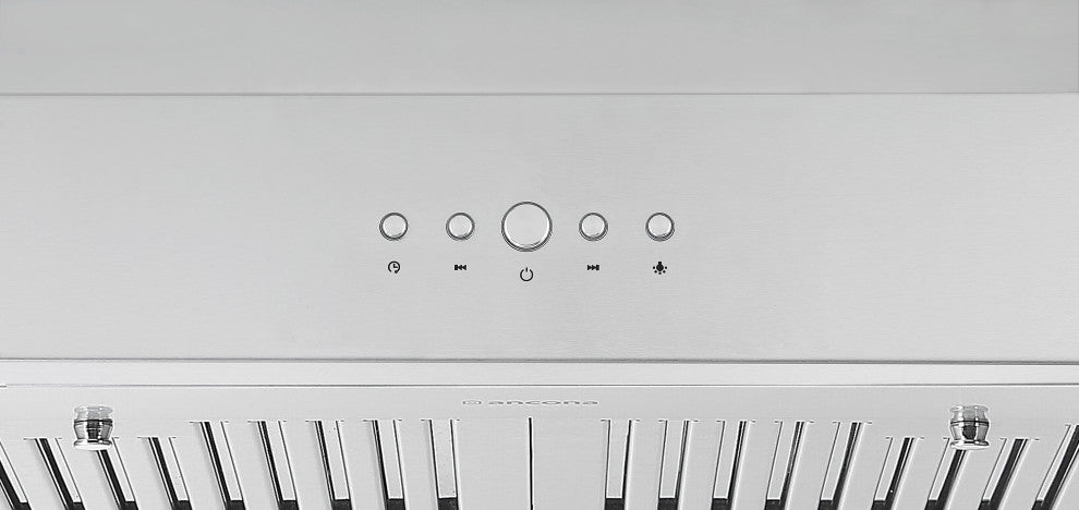 30 in. Wall-Mounted Range Hood in Stainless Steel