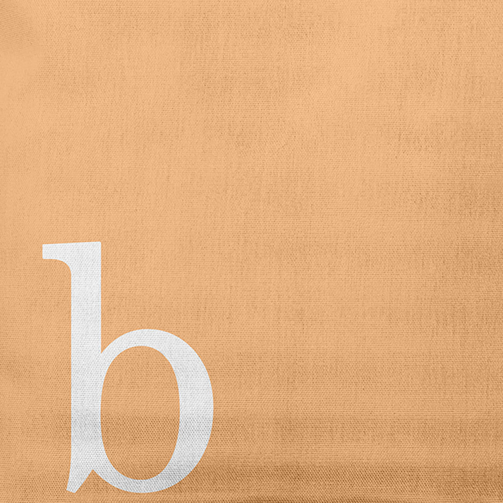 20"x20" Modern Monogram Decorative Throw Pillow, Pale Gold