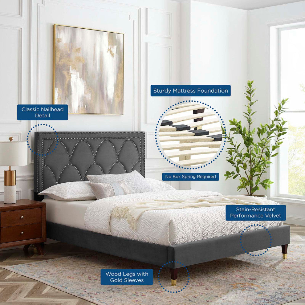 Platform Bed Frame, Nailhead, Queen Size, Charcoal Gray, Velvet, Modern